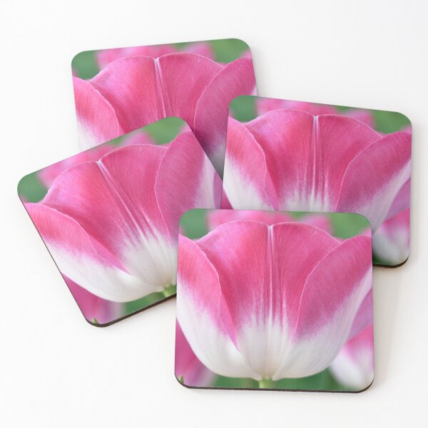 Item preview, Tulipa  'Innuendo'  Tulip  Triumph Group designed and sold by Chris Burrows.