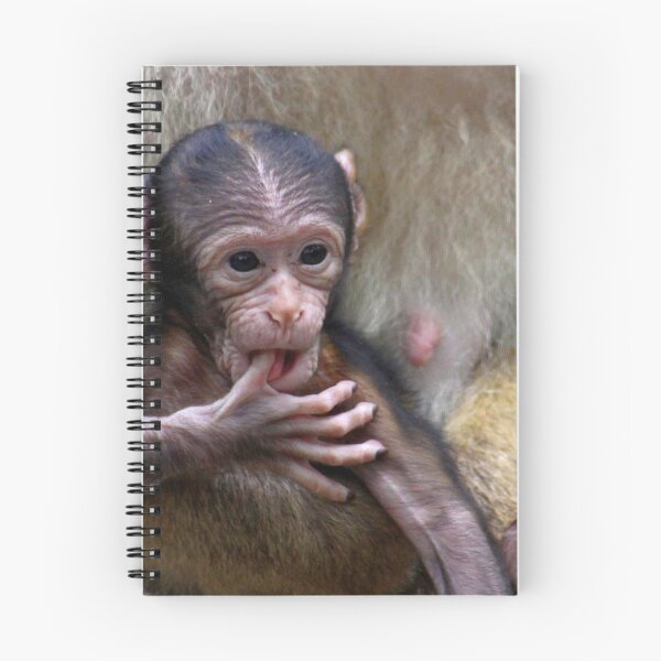 Item preview, Baby Barbary Macaque designed and sold by Jo Nijenhuis.