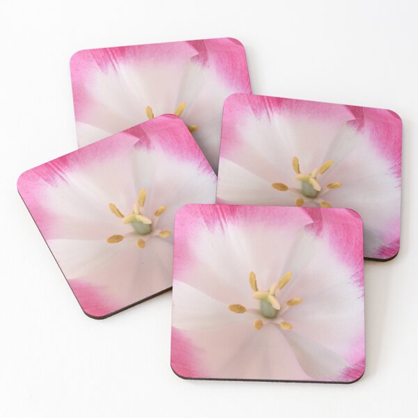 Item preview, Tulipa 'Innuendo' Tulip Triumph Group designed and sold by Chris Burrows.