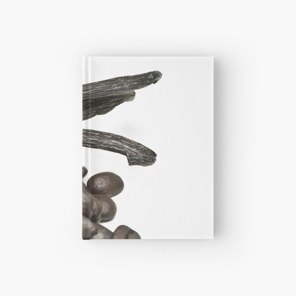 Vanilla Coffee Anyone? Hardcover Journal