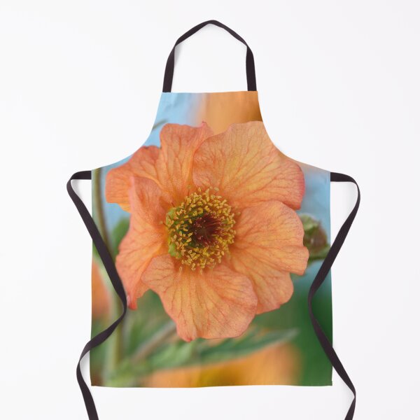 Artikelvorschau, Geum & # 39; Totally Tangerine & # 39; Avens entworfen und verkauft von Chris Burrows.