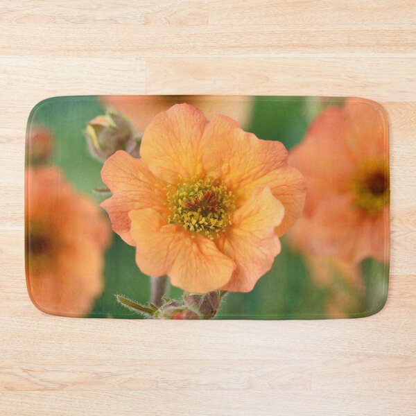 Artikelvorschau, Geum & # 39; Totally Tangerine & # 39; Avens entworfen und verkauft von Chris Burrows.
