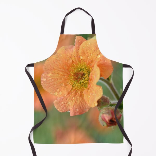 Artikelvorschau, Geum & # 39; Totally Tangerine & # 39; Avens entworfen und verkauft von Chris Burrows.