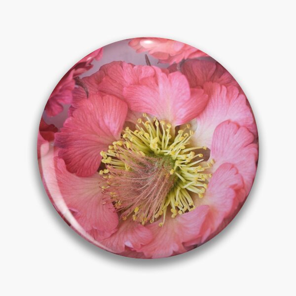 Item preview, Geum 'Bell Bank' Avens designed and sold by Chris Burrows.