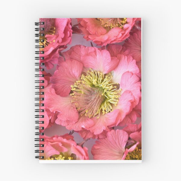 Item preview, Geum 'Bell Bank' Avens designed and sold by Chris Burrows.