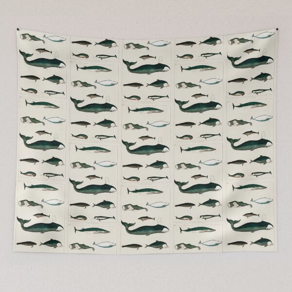 Item preview, Naturalist Whales designed and sold by BlueSpecsStudio.