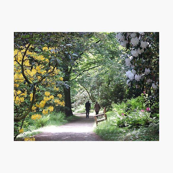 Springtime at Stourhead Photographic Print