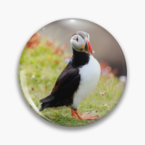 Item preview, Common puffin (Fratercula arctica) designed and sold by chanonry.