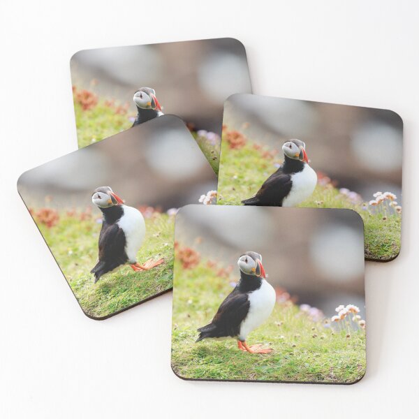 Item preview, Common puffin (Fratercula arctica) designed and sold by chanonry.