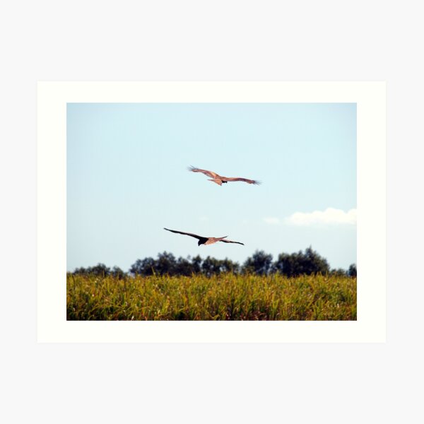 AERIAL BALLET Art Print