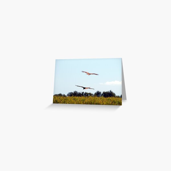 AERIAL BALLET Greeting Card
