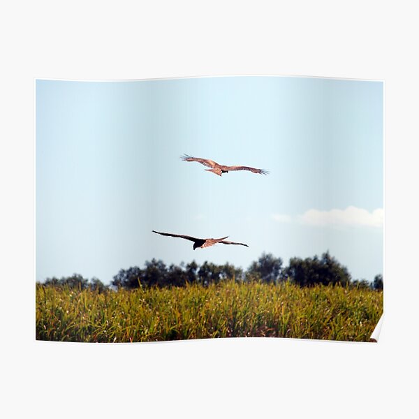 AERIAL BALLET Poster