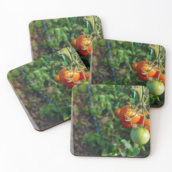 Item preview, Growing tomatoes in a greenhouse designed and sold by Mahirov Shop.