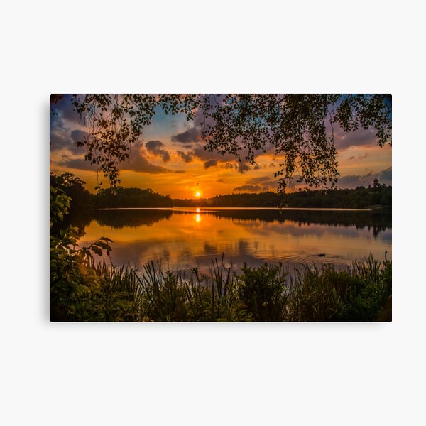 Item preview, Virginia Water Sunset designed and sold by Dave Williams.