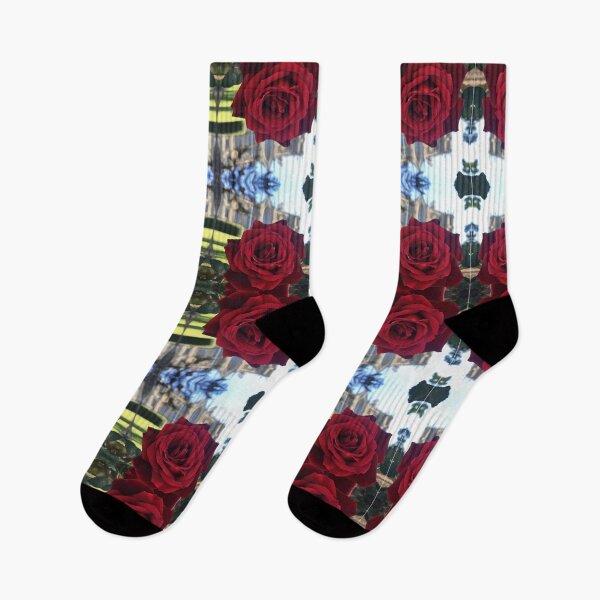 Item preview, Botanical Divine - Mr Lincoln blooms at UTAS, Symmetry of Love  designed and sold by RoseAromas.