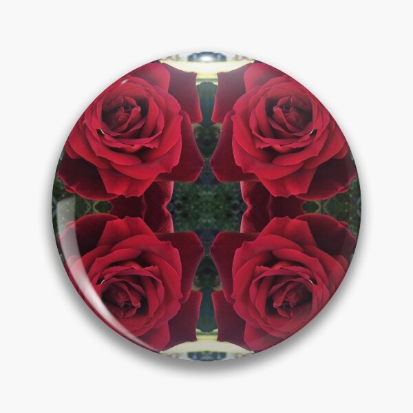 Item preview, Botanical Divine - Mr Lincoln blooms at UTAS, Symmetry of Love  designed and sold by RoseAromas.