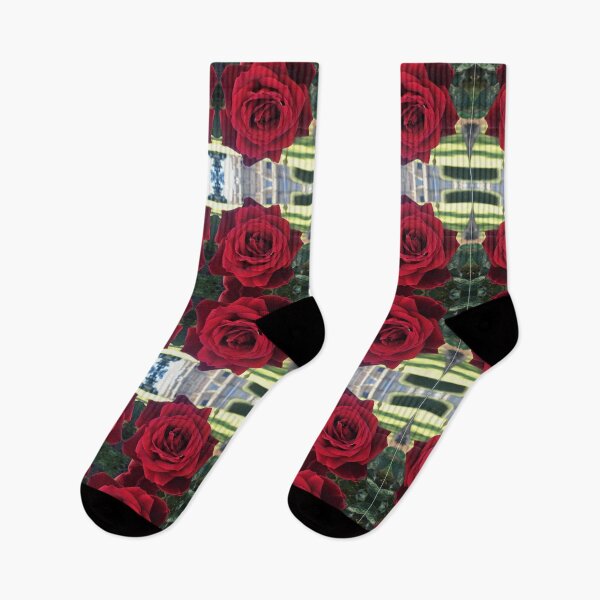 Item preview, Botanical Divine - Mr Lincoln blooms at UTAS, Symmetry of Love  designed and sold by RoseAromas.