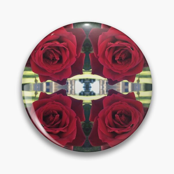 Item preview, Botanical Divine - Mr Lincoln blooms at UTAS, Symmetry of Love  designed and sold by RoseAromas.
