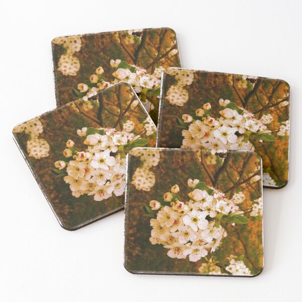 Item preview, Pear Blossoms designed and sold by dtheiris.
