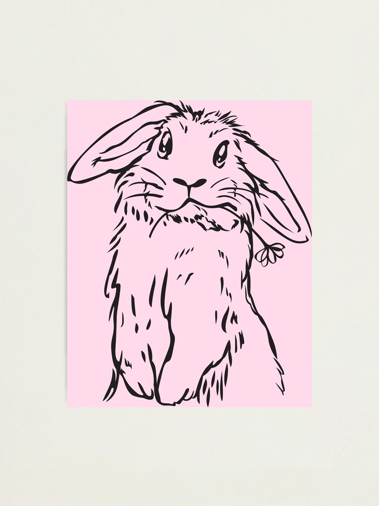 "KaninchenSkizze, Frohe Ostern 2021, ich liebe Hasen, KaninchenKunst