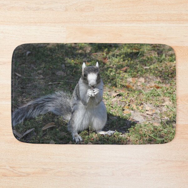 Item preview, Salt and Pepper Squirrel designed and sold by Autumn Seas Photography.