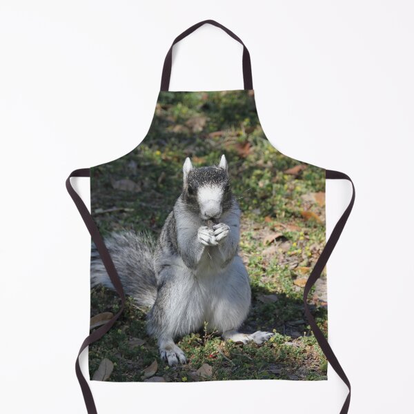 Item preview, Salt and Pepper Squirrel designed and sold by Autumn Seas Photography.