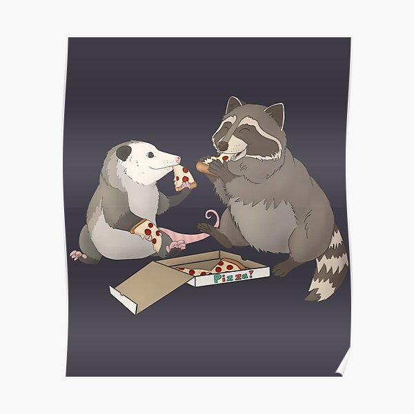 Possum and Raccoon eating pizza Poster