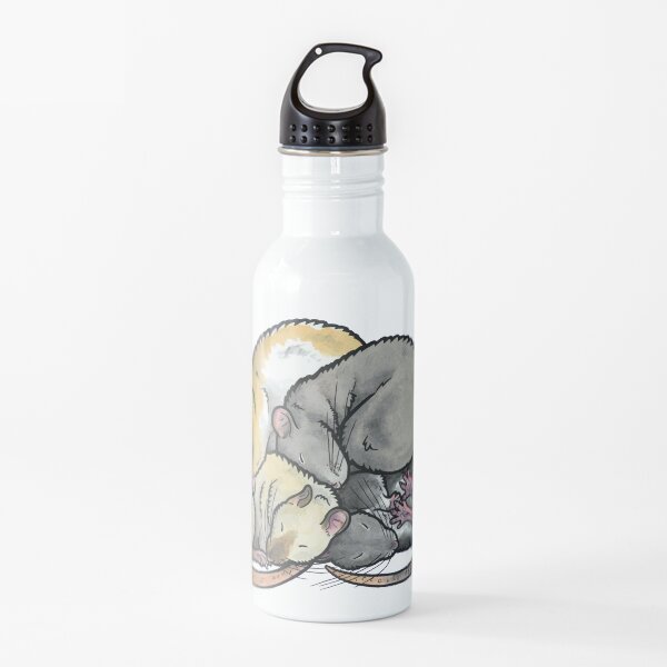Tas de rats domestiques endormis Gourde