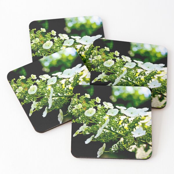 Item preview, White Alyssum designed and sold by RakshaSD.