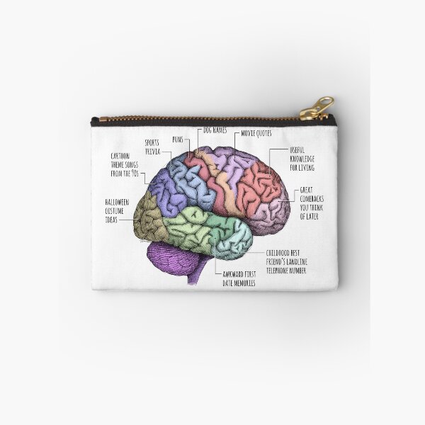 Item preview, Areas of the Brain Parody designed and sold by pinochle.