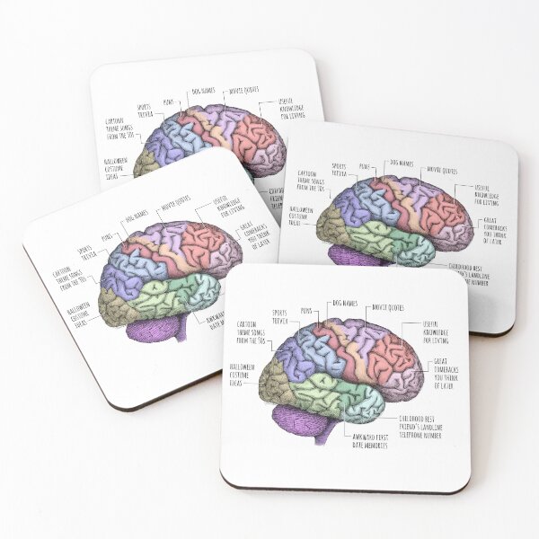 Item preview, Areas of the Brain Parody designed and sold by pinochle.