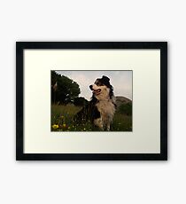 In the Wild. Framed Print