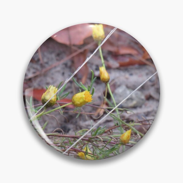 Item preview, Little everlasting daisies designed and sold by greentiger1.
