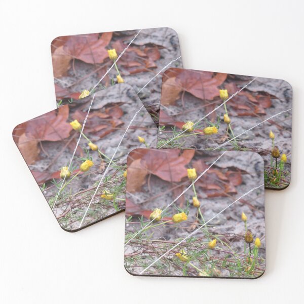 Item preview, Little everlasting daisies designed and sold by greentiger1.