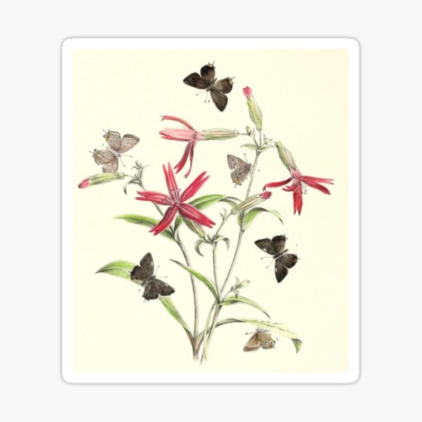 Item preview, Summer Flowers designed and sold by Ardeci.