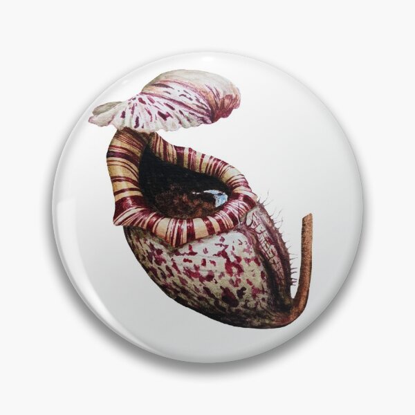 Item preview, Beautiful Picher Plant (Nepenthes burbidgeae) designed and sold by Abe Hasner.