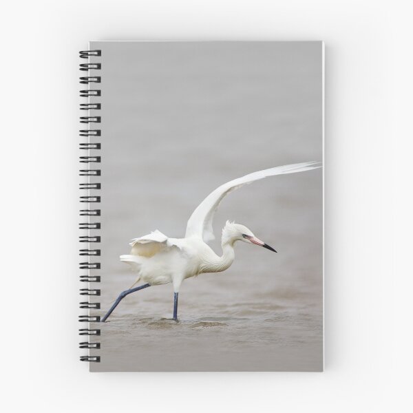 Item preview, Reddish Egret Wading in Gulf designed and sold by TheCurators.