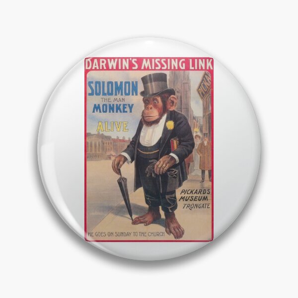Item preview, Darwin missing link vintage designed and sold by ERIK-VERRE.