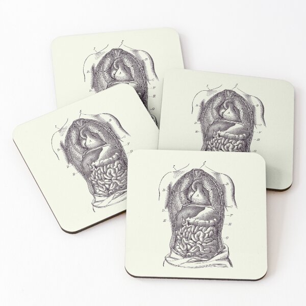 Item preview, Human Digestive System Diagram - Vintage Anatomy designed and sold by VAposters.