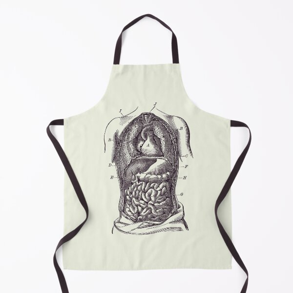 Item preview, Human Digestive System Diagram - Vintage Anatomy designed and sold by VAposters.
