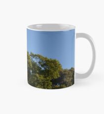 Iandra Mug