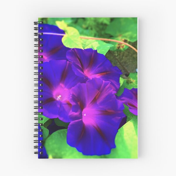 Item preview, Morning Glory Tilt Shift designed and sold by foggynotion.