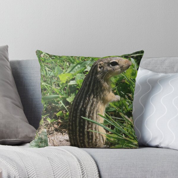 Item preview, 13 Lined Ground Squirrel designed and sold by Chris Coates Photography.com.