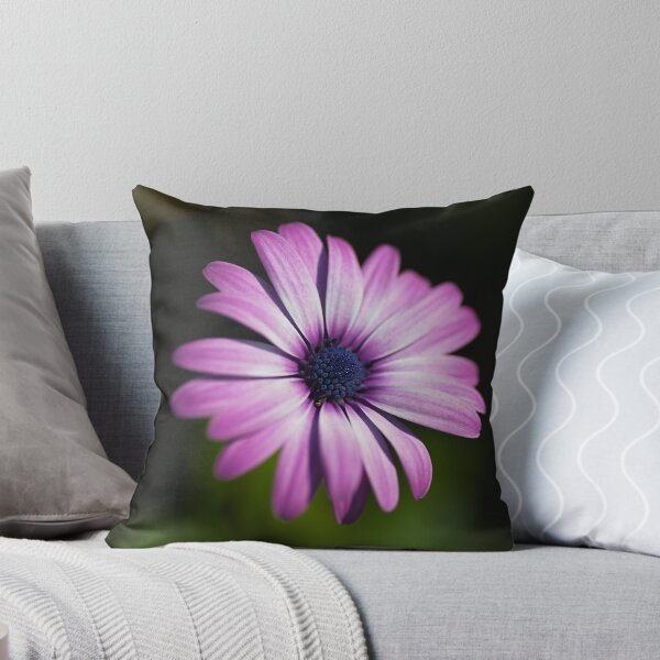Item preview, Cape Daisy Blooming  designed and sold by Joy Watson - Natural Light Photography .