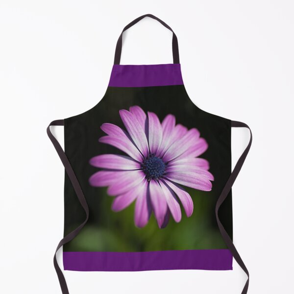 Item preview, Cape Daisy Blooming designed and sold by Joy Watson - Natural Light Photography .