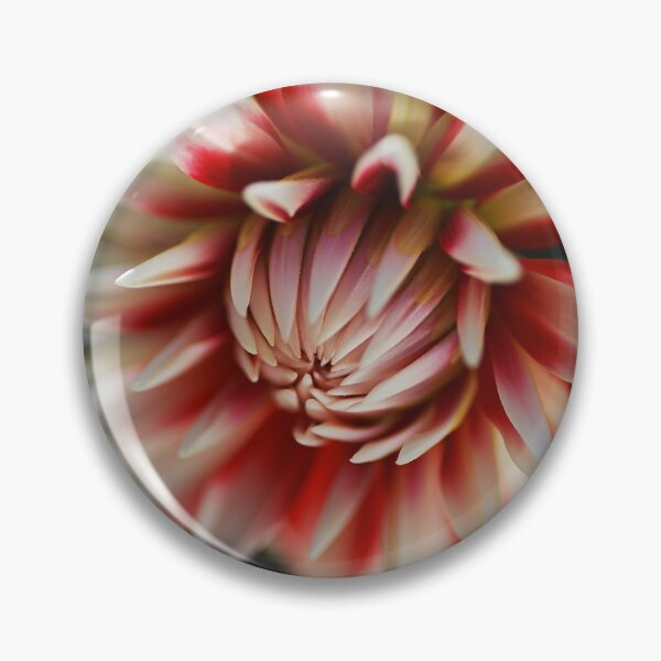 Item preview, Dahlia Fire And Ice Flower designed and sold by Joy Watson - Natural Light Photography .