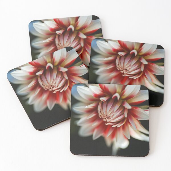 Item preview, Dahlia Fire And Ice Flower designed and sold by Joy Watson - Natural Light Photography .