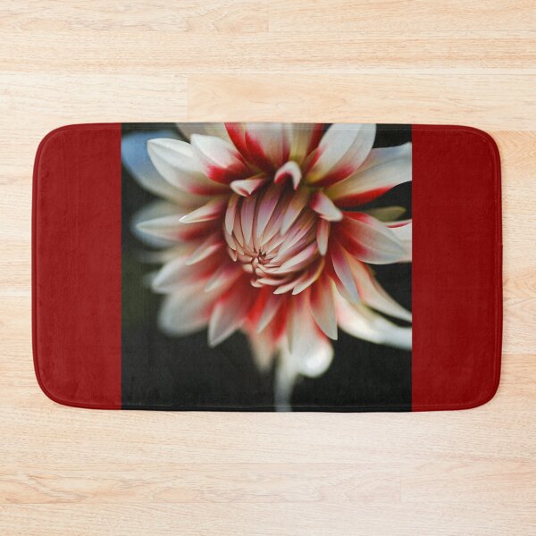Item preview, Dahlia Fire And Ice Flower designed and sold by Joy Watson - Natural Light Photography .