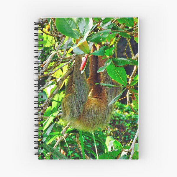 Item preview, Hanging with the Sloth designed and sold by ChadKroll.