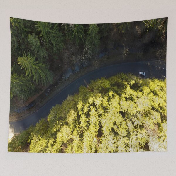 Item preview, Forest from above designed and sold by Yireso Luna.